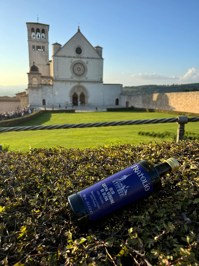 Extra Virgin Olive Oil Medium Fruity