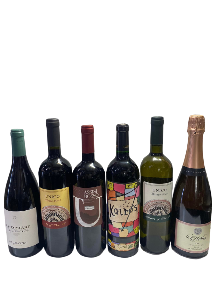 Special Italian Wine  Christmas box 6bott