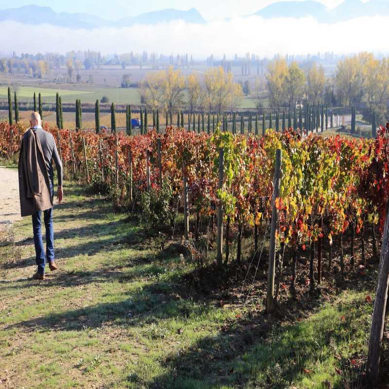 Visita della Cantina con la Degustazione